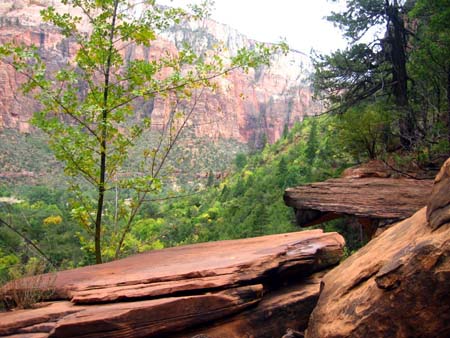 Zion national park