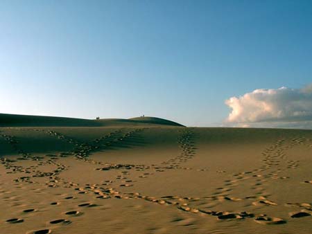 La Dune du Pyla