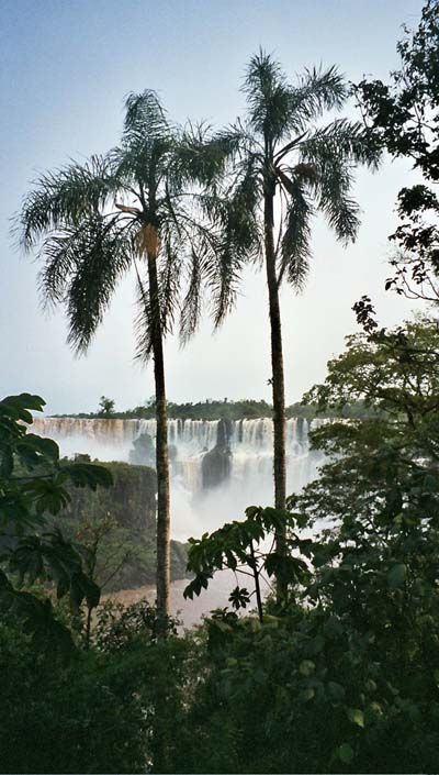 Chute d'Iguazu