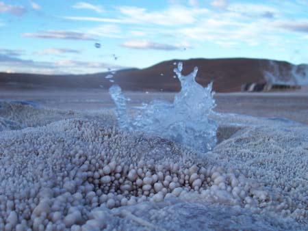 Geyser del tatio