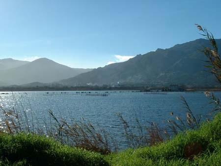 L'�tang de Biguglia