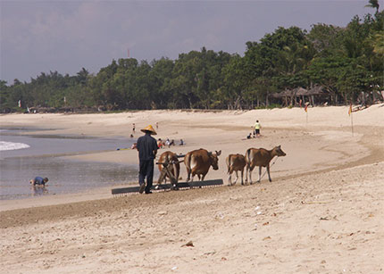 Op�ration plage propre