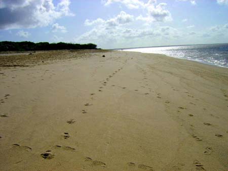 Plage d'Awala Yalimapo