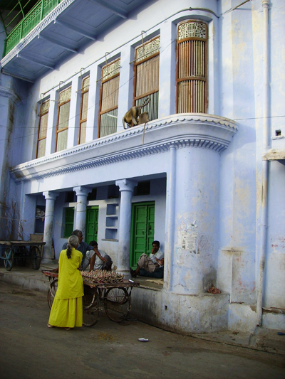 Couleurs primaires � pushkar
