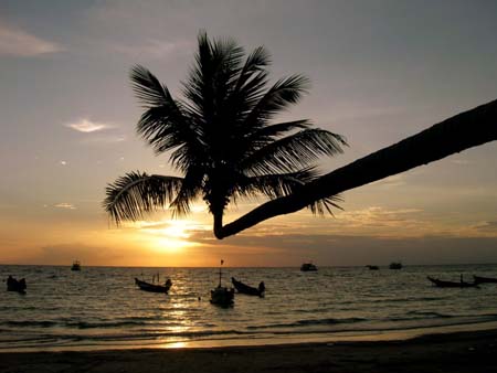 Couchant de koh tao