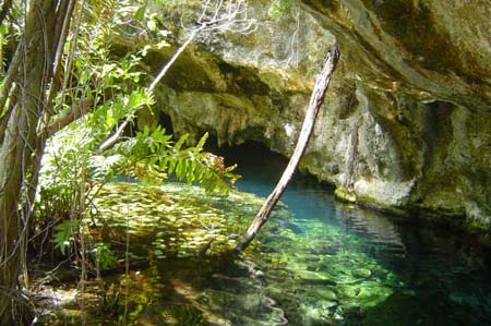 Gran Cenote, Quintana Roo
