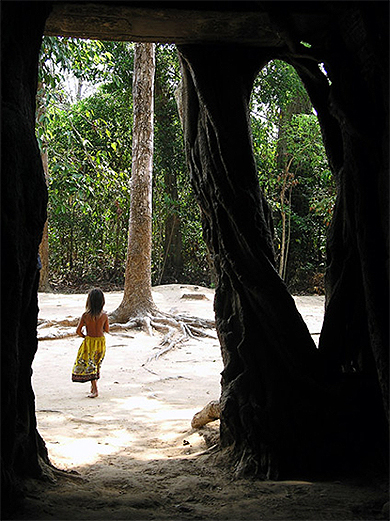 La petite fille et l'arbre