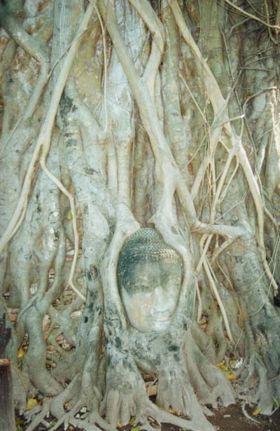 Wat Phra Si Sanphet