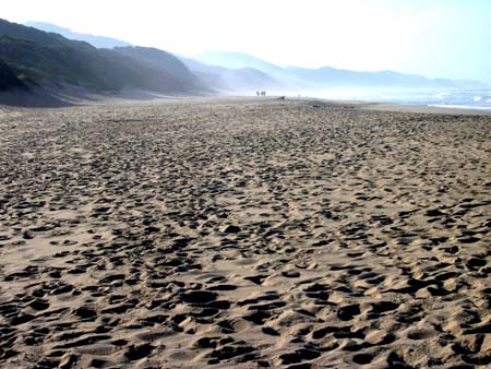Plage pr�s de Cape Vidal