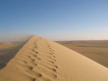 Une dune sous le vent