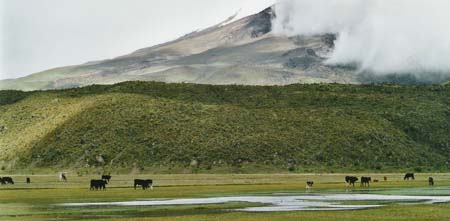 Au pied du Cotopaxi