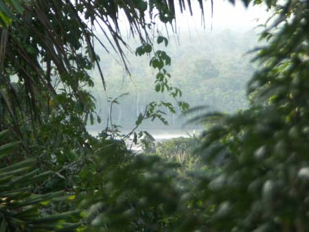 Vue de la Selva