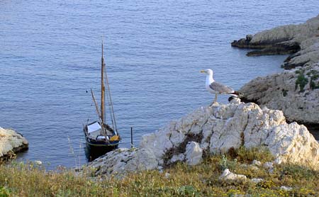 Sur les �les du frioul