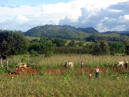 Collines birmanes