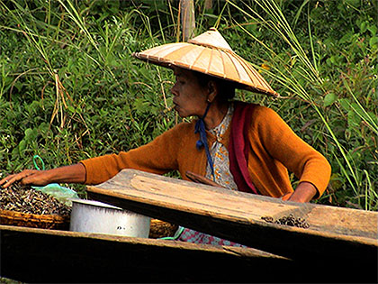 Femme au chirot - March� sur l'eau