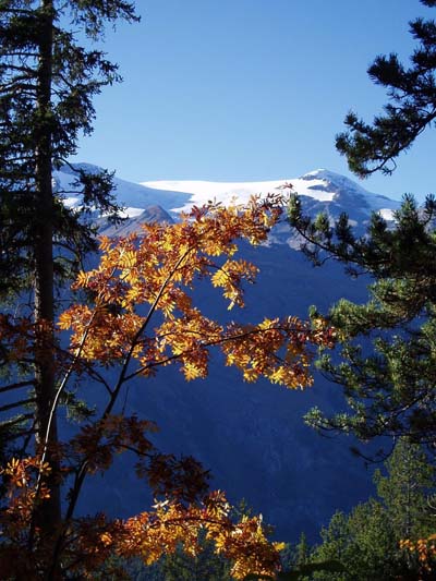Glaciers de la Vanoise � travers l'automne