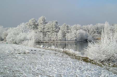 Carte postale