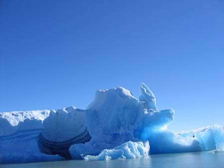 Tortue de Patagonie