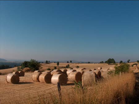 Prairies harmonieuses