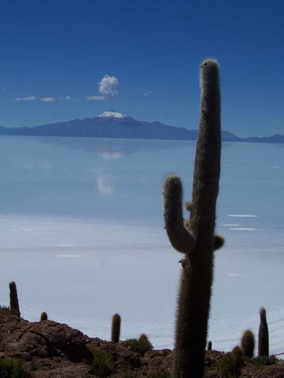 Isla de Pescadas