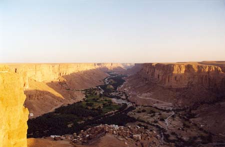 Un oasis