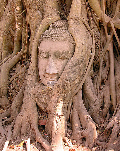 "the face of Buddha"