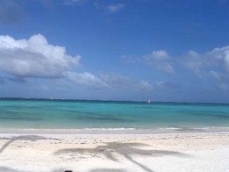 Paradise Island