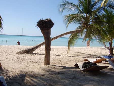 Punta Cana