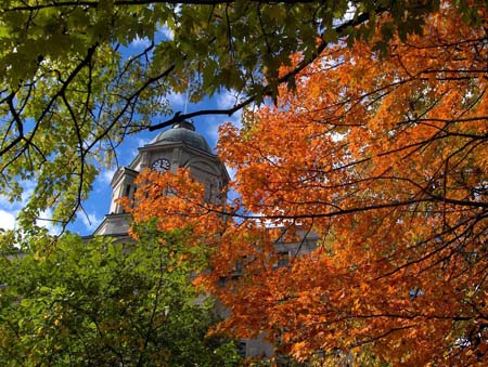 Feuillage d'automne � Qu�bec