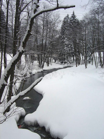 Paysage hivernal roumain