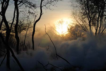 Coucher de soleil sur un br�lis