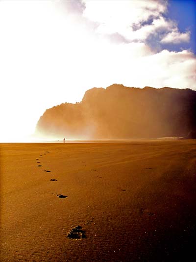 Sur les traces de la le�on de piano
