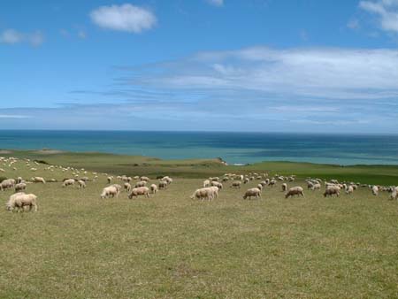 Aux antipodes