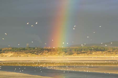Arc en ciel