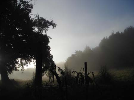 Havre de brume
