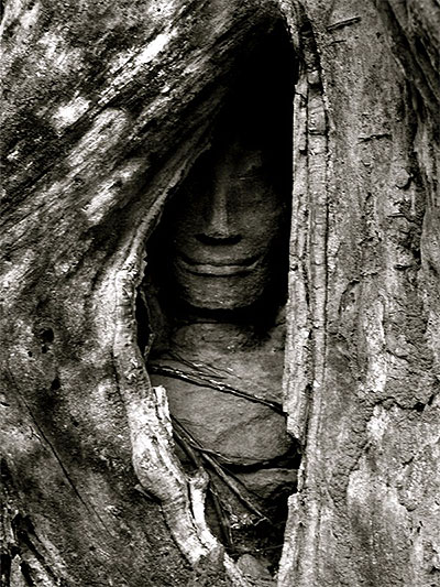 Visage cach� par des racines