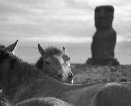 Cheaux et statues