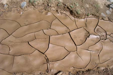 Traces fugaces