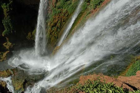 Queue d'eau
