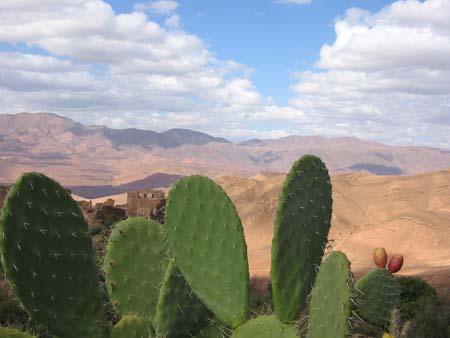 Haut Atlas Maroc