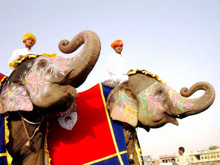 Les �l�phants de Jaipur