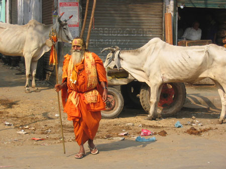 Sadhu