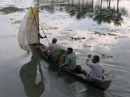 Coucher de soleil dans les Backwaters