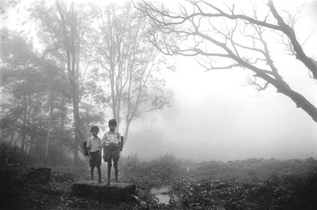 Sur le chemin de l'�cole