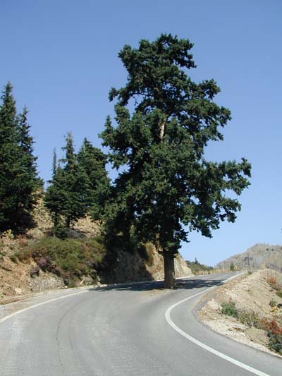 Protection de la nature