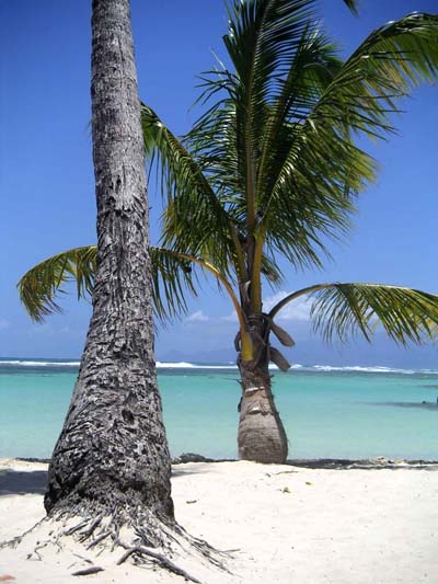 Plage de Ste Anne