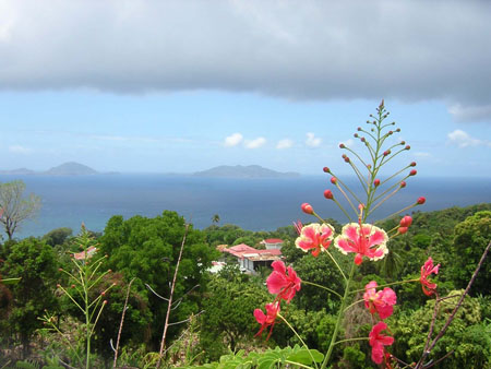 Les Saintes