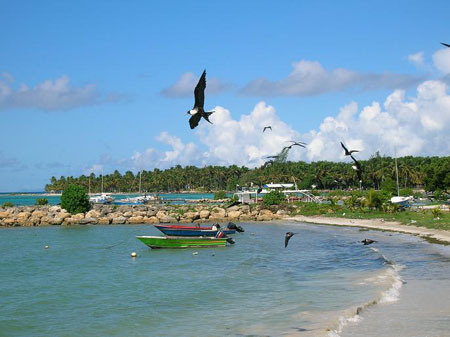 C�te tropicale