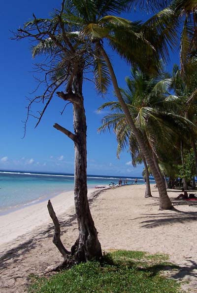 Plage de Sainte-Anne