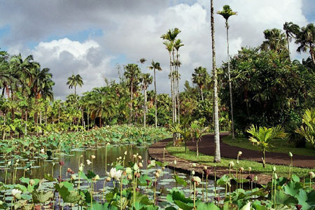 Jardin Pamplemousses
